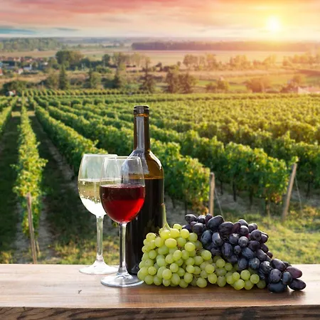 Romantic In Chianti Classico - Happy