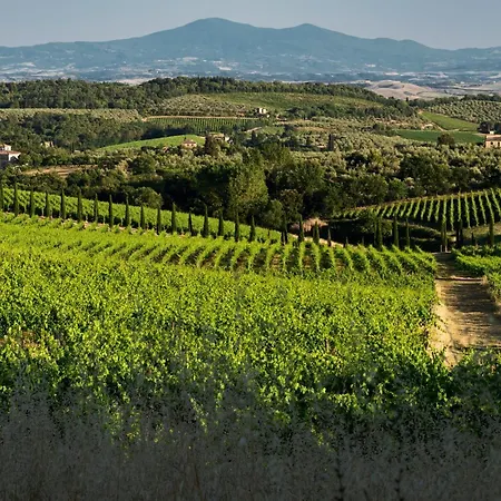 Romantic In Chianti Classico - Happy Castelnuovo Berardenga